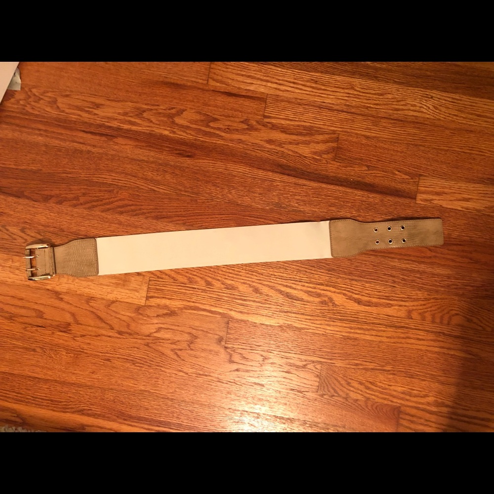 Brand new Express belt.